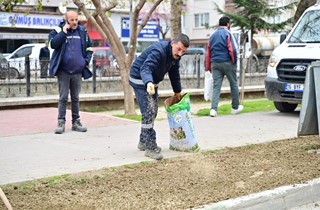 Gemlik’te Peyzaj ve Kent Estetiği Çalışmaları Sürüyor